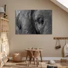 MuchoWow® Poster Elefant - Tiere - Nahaufnahme - Produktbild-Vorschau 6
