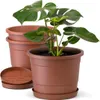 Plastard Blumentopf  3er Set 54 cm Durchmesser Terrakotta Produktbild-Vorschau 1