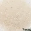 Hnojivo na bázi síranu amonného (20 kg – pro 400 m²) - Náhled obrázku produktu 2