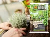 -Erde für Kräuter - 5L - 100% natürliche Inhaltsstoffe - Produktbild-Vorschau 3