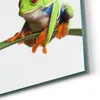 DEQORI Hybrid Leinwand Bild 60x30 cm 'Neugieriger Frosch' Produktbild-Vorschau 5
