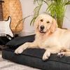 Hundebett, Haustiermatratze, Katzenbett, Hundekissen, Produktbild-Vorschau 6