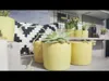 A collection of potted plants on a shelf, with a decorative pillow in the background. Produktbild-Vorschau
