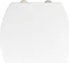A top-down view of a white toilet seat with silver hinges. Produktbild-Vorschau