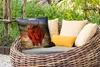 MuchoWow® Outdoor Kissen - Schottische Hochlandrind - Gras Produktbild-Vorschau 3