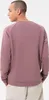 adidas Originals Essential crew M HJ7991 sweatshirt Produktbild-Vorschau 4