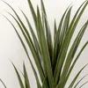 HOMCOM Umelá juka, veľká, 190 cm, umelá rastlina, umelá Náhľad obrázku produktu 9