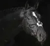 Covalliero Zaumzeug Cancun Pony Schwarz Produktbild-Vorschau 1