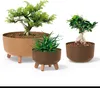 Pot de fleur 28,5cm GRACIA ECO WOOD DGRL300W-S433W Voir les images du produit 13