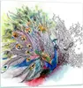 Bilder auf glas - Pfau Feder Farbe - 40x40cm - Glasbilder - Produktbild-Vorschau 1