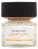 BMW Fragrances Amberness Eau de Parfum 50 ml UNISEXE Voir les images du produit 2