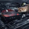Marderschreck Ultraschall batteriebetrieben für Auto Haus Produktbild-Vorschau 2