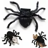 Spinnenkostüm Hund, Halloween Hundekostüm mit 8 Produktbild-Vorschau 1