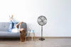 SUNTEC CoolBreeze 4000, Chrom, Metallisch, Flur, 40 cm, 1,4 Produktbild-Vorschau 6