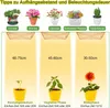 An infographic showing different plant growth stages and recommended light distances and durations. Náhľad obrázku produktu