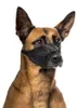 Duvo+ Maulkorb Nylon, Short nosed dogs Produktbild-Vorschau 6