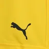 Puma Teamrise Shorts Herren - Gelb Produktbild-Vorschau 10
