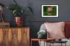 MuchoWow® MuchoWow® Gerahmtes Poster Tiger im Wasser 40x30 Produktbild-Vorschau 3
