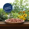 10 kg Lyra Pet® Erdnusskerne mit Haut Produktbild-Vorschau 3