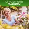 Rosenbogen 150x240x30 cm schwarz Gartendeko Rosenspalier Produktbild-Vorschau 4