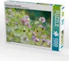 Calvendo Sommerwiese im Sommerlicht 1000 Teile Puzzle quer Produktbild-Vorschau 1