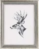 A framed pencil sketch of a deer's head. Produktbild-Vorschau