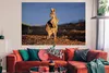 MuchoWow® Poster Känguru - Tier - Sonne - Natur 180x120 cm Produktbild-Vorschau 3