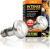 Ampoule Exo Terra Intense Basking Spot 50W Voir les images du produit 7