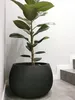 Betonschale DKB290 Blumentopf mit Einsatz | Schwarzer Beton Produktbild-Vorschau 6