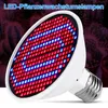 A close-up of a white LED plant grow light with red and blue LEDs, set against a blurred background of cacti. Produktbild-Vorschau