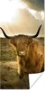 MuchoWow® Poster Schottischer Hochländer - Sonne - Gras Produktbild-Vorschau 1