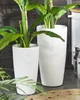 Two white planters with plants are placed on a floor next to a dark wooden wall. Náhled obrázku produktu