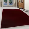 A rectangular rug is placed on a light-colored floor in front of a doorway and a wooden cabinet. Voir les images du produit
