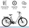 Zündapp Z510 E Bike 28 Zoll Damenfahrrad ab 155 cm mit 3 Produktbild-Vorschau 3