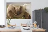 MuchoWow® Poster Pferde - Gras - Braun 180x120 cm - Produktbild-Vorschau 3