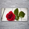 Glasbilder 120x60 Wandbild Druck auf Glas Rose Pflanzen Produktbild-Vorschau 2