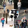 Hundepfoten-Schutzschuhe (4 Paar)Schneestiefel für Produktbild-Vorschau 6