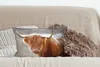MuchoWow® Zierkissen Sofakissen Wohnzimmer Dekokissen 50x30 Produktbild-Vorschau 4