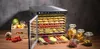 A food dehydrator filled with dried fruits and vegetables, with fresh produce and jars of dried fruit on a wooden table. Podgląd zdjęcia produktu