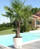 Pot de fleurs Riviera White Circulaire Voir les images du produit 3