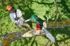 Parkside Akku Teleskop-Hochentaster Ast-Kettensäge PAHE 20 Produktbild-Vorschau 9