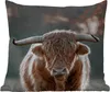 MuchoWow® Outdoor Kissen - Kuh - Schottisches Hochlandrind Produktbild-Vorschau 1