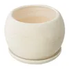 Vaso in Vetroceramica Palla con piattino grigio chiaro Anteprima dell’immagine prodotto 4