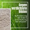 Quarzsand Pflanzen Rasensand 25Kg Wurzelaktivator Quarzsand Produktbild-Vorschau 5