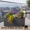 Jardinière BigDean 80 L, 80 x 36 x 35 cm, fond perforé, Voir les images du produit 3