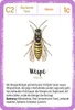 Expedition Natur Quartett Minimonster Produktbild-Vorschau 4