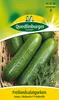 Freilandsalatgurke, Sindy F1 Produktbild-Vorschau 3