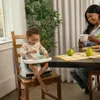 Ingenuity Baby Sitzverkleiner 2-in-1 Sitz - Mist - Produktbild-Vorschau 14