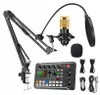 BM800 Pro microfono a condensatore con scheda audio, mixer Anteprima dell’immagine prodotto 5