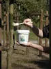 Raupenleim grün (500 g) |  Pflanzenschutz von Schacht Produktbild-Vorschau 7